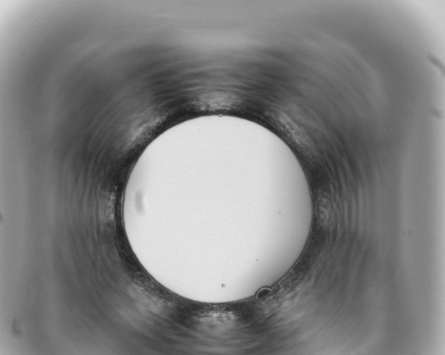 X0000095890543200801251205