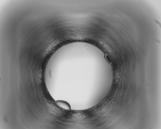 X0000095890544200801251205