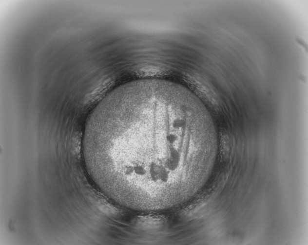 X0000095890545200801251205