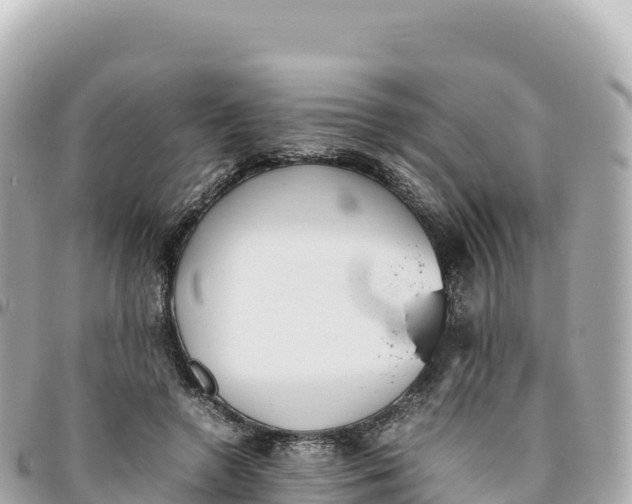 X0000095890546200801251205