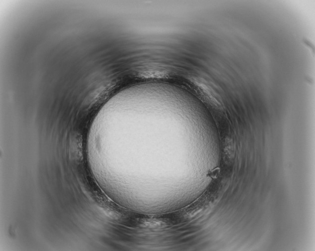 X0000095890547200801251205