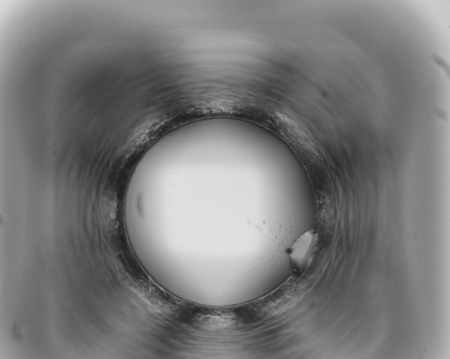 X0000095890548200801251205