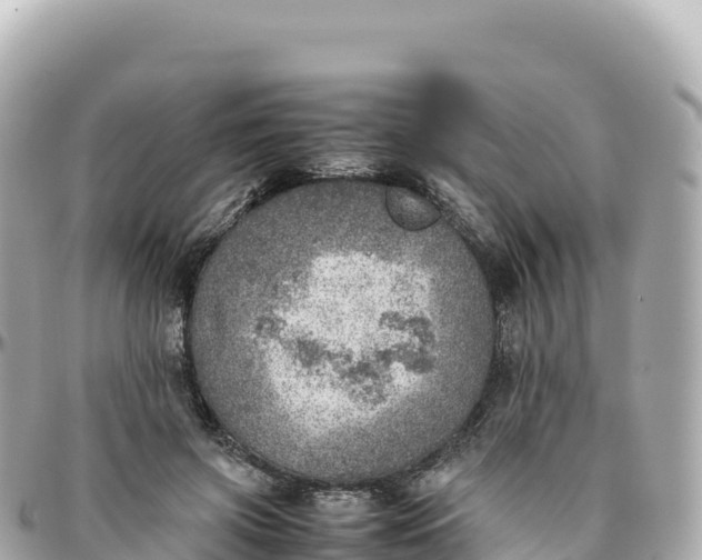 X0000095890549200801251205