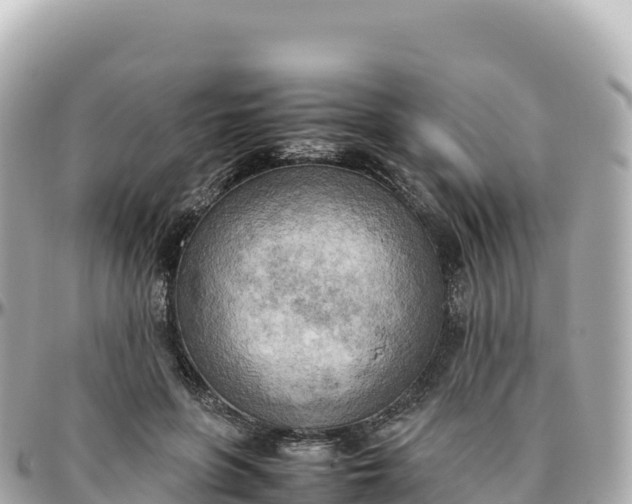 X0000095890551200801251205