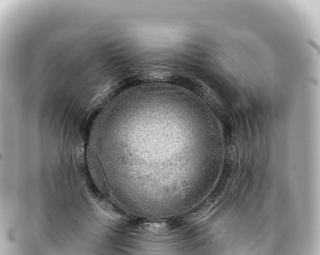 X0000095890552200801251205