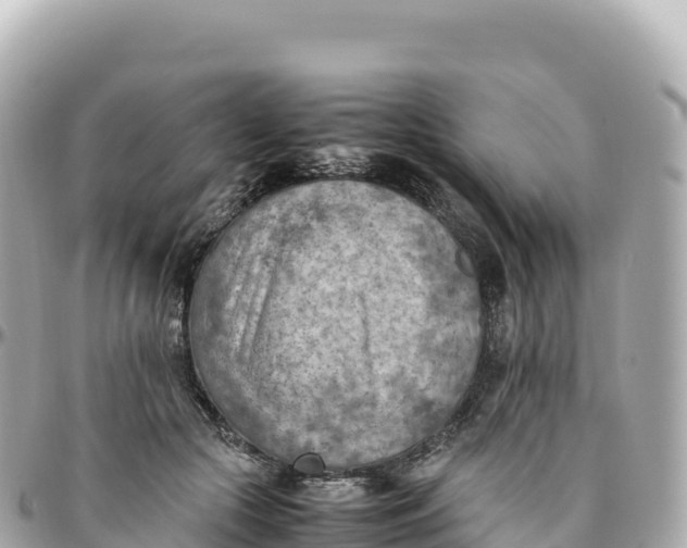 X0000095890553200801251205