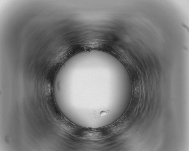 X0000095890555200801251205