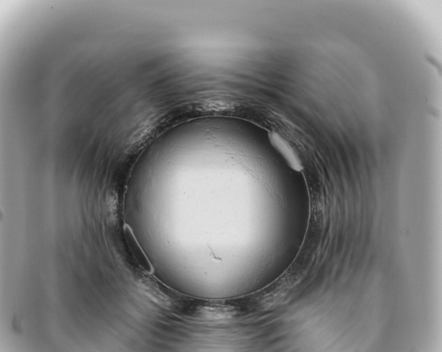 X0000095890556200801251205