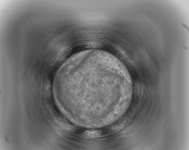 X0000095890557200801251205