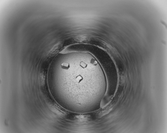 X0000095890558200801251205