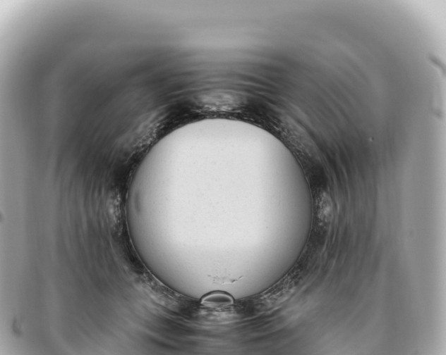 X0000095890559200801251205