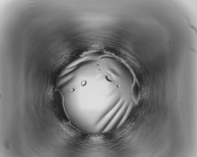 X0000095890560200801251205