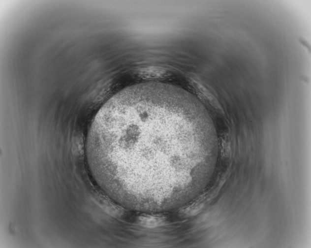 X0000095890561200801251205