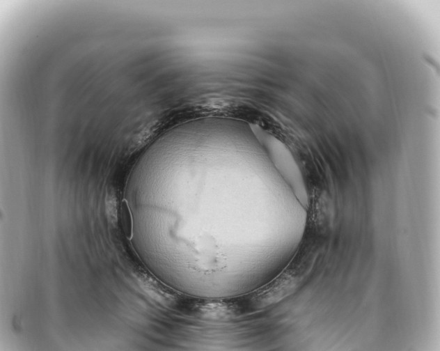 X0000095890562200801251205