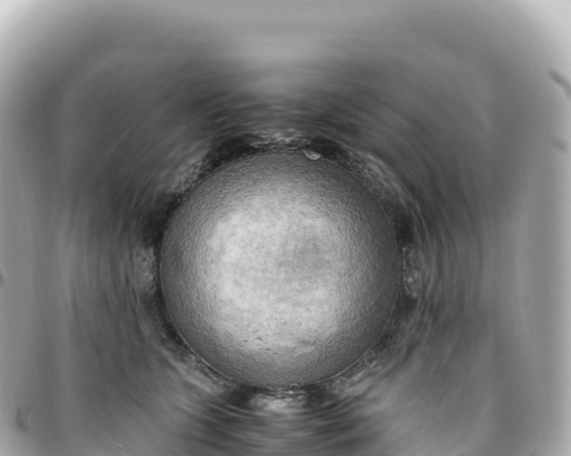 X0000095890563200801251205