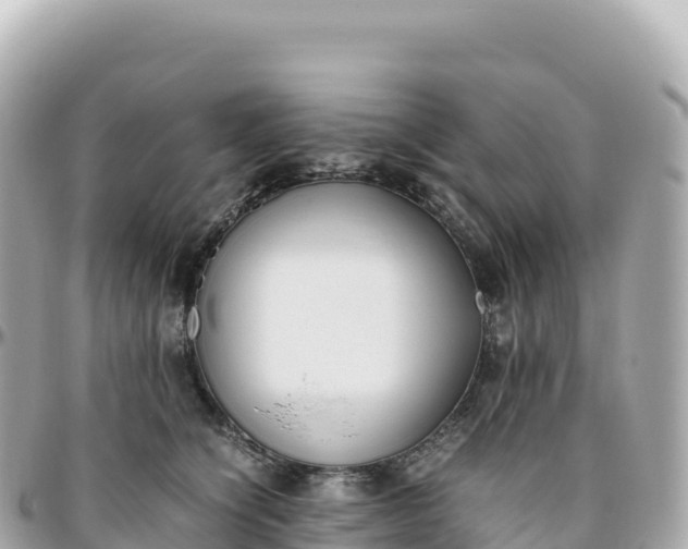 X0000095890564200801251205