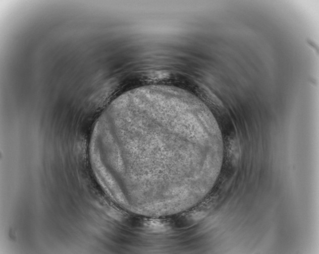 X0000095890565200801251205