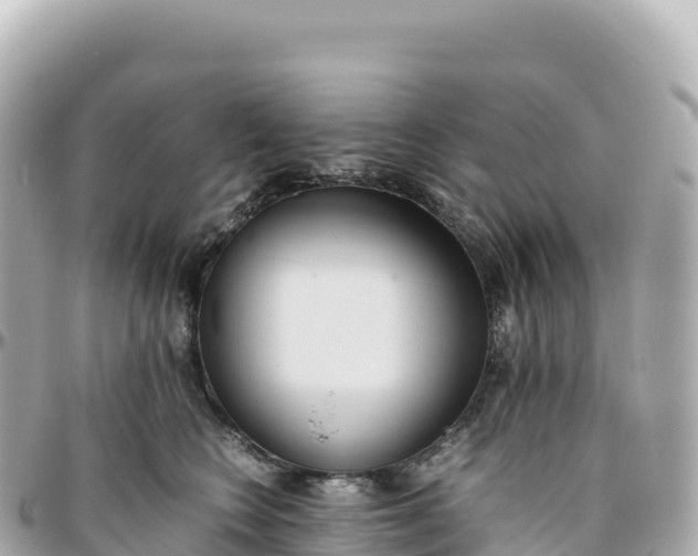 X0000095890566200801251205