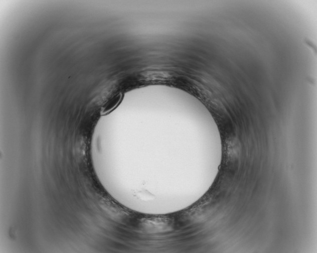 X0000095890567200801251205