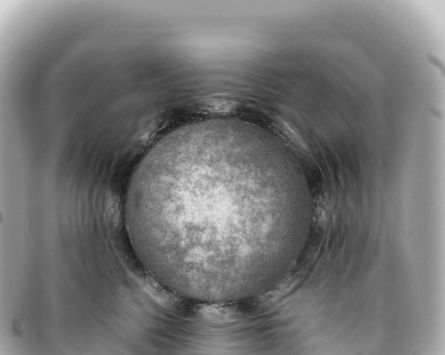 X0000095890568200801251205