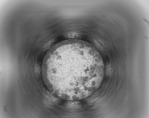 X0000095890569200801251205