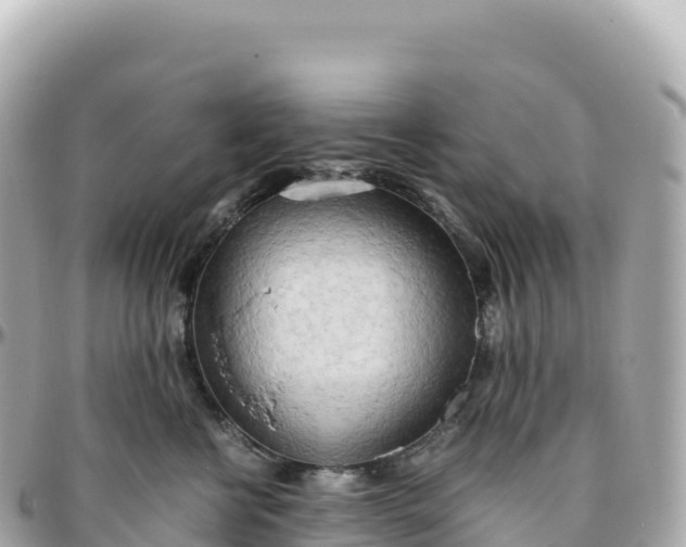 X0000095890570200801251205