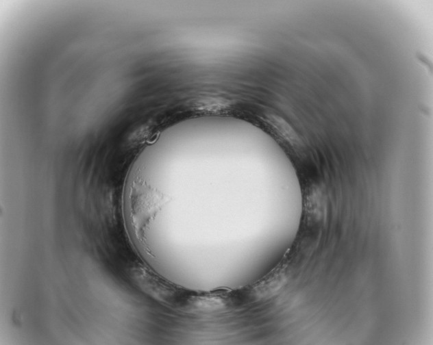 X0000095890572200801251205