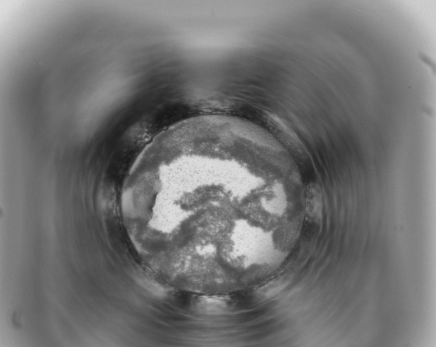 X0000095890573200801251205