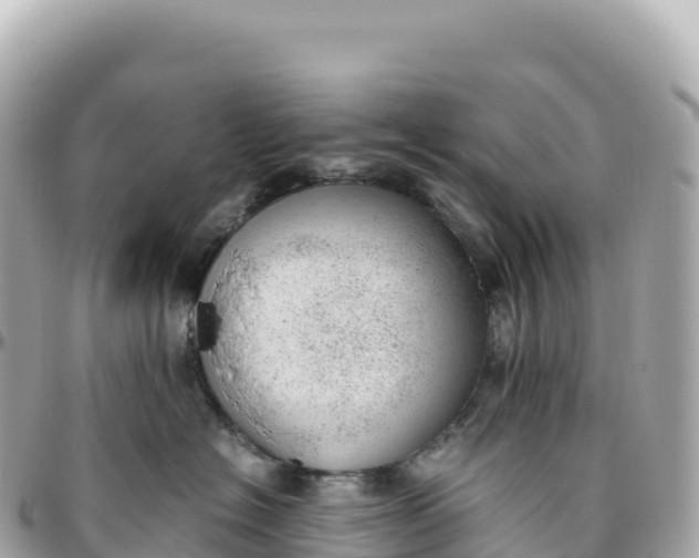 X0000095890574200801251205