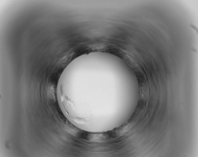 X0000095890575200801251205