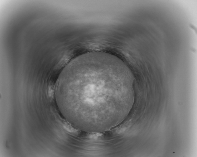 X0000095890576200801251205