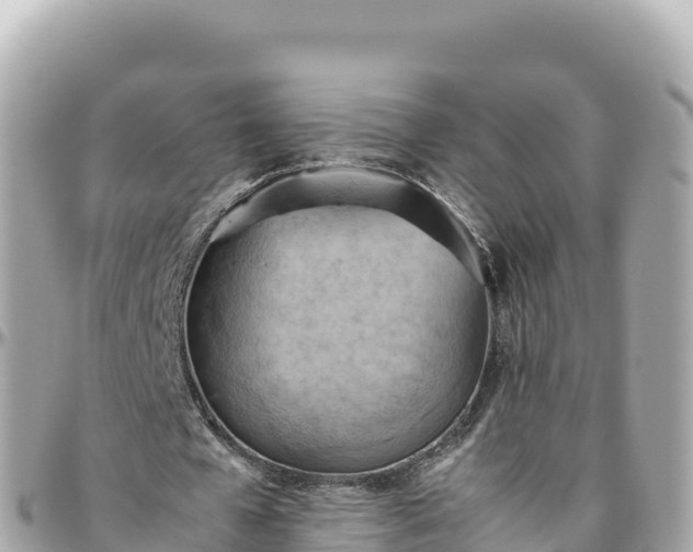 X0000095890577200801251204