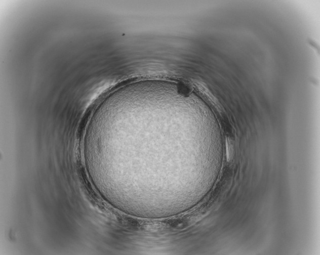 X0000095890579200801251204