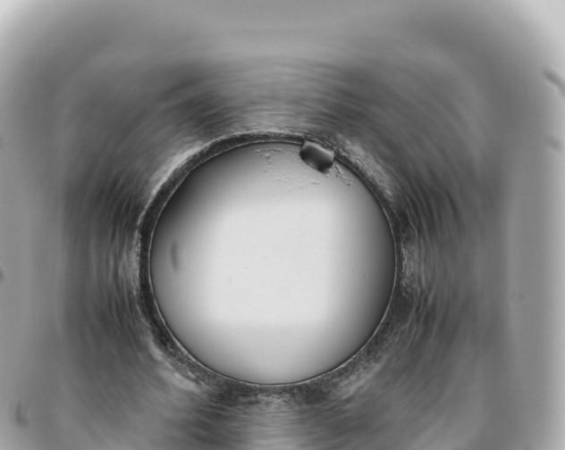 X0000095890580200801251204