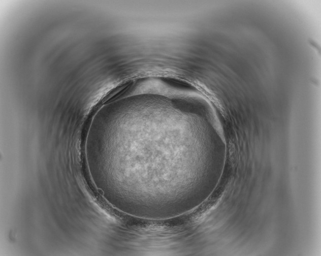 X0000095890581200801251204