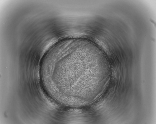 X0000095890582200801251204