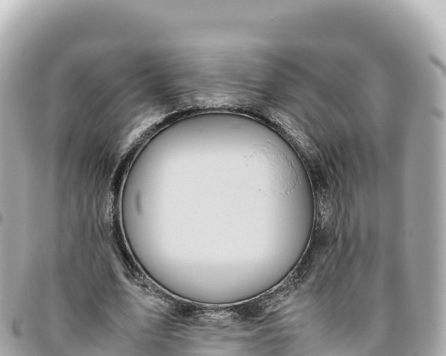 X0000095890583200801251204