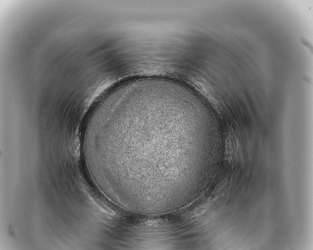 X0000095890584200801251204