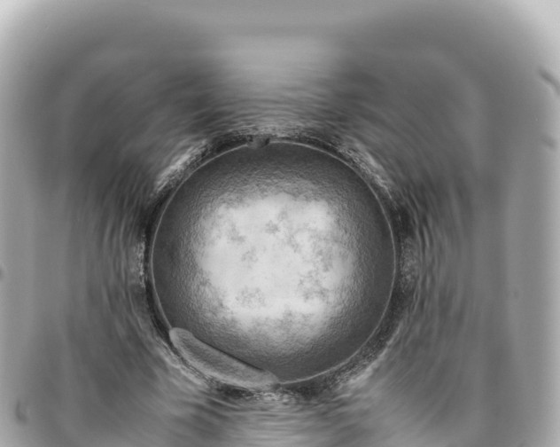 X0000095890585200801251204