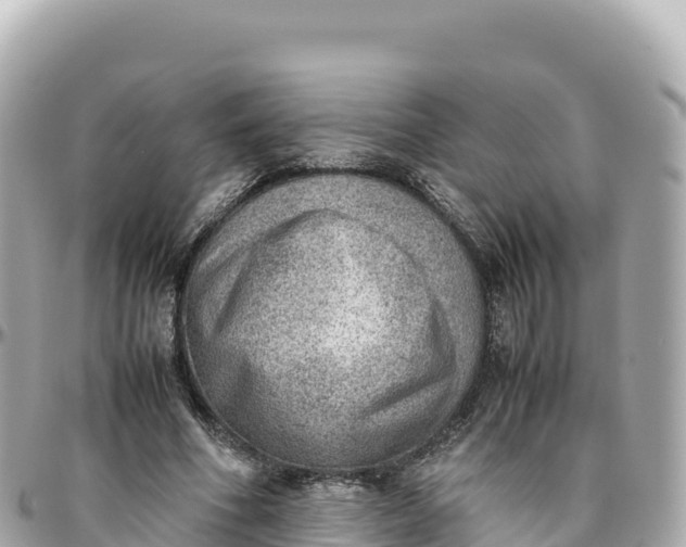 X0000095890586200801251204