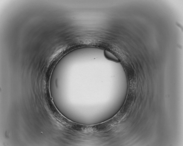 X0000095890587200801251204