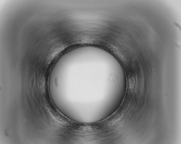 X0000095890588200801251204