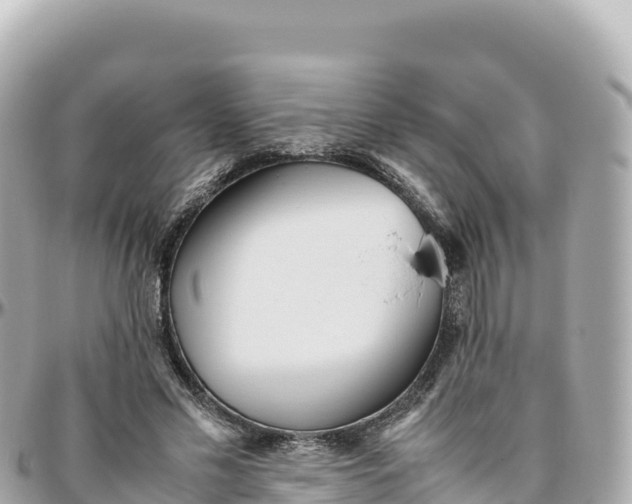 X0000095890589200801251204