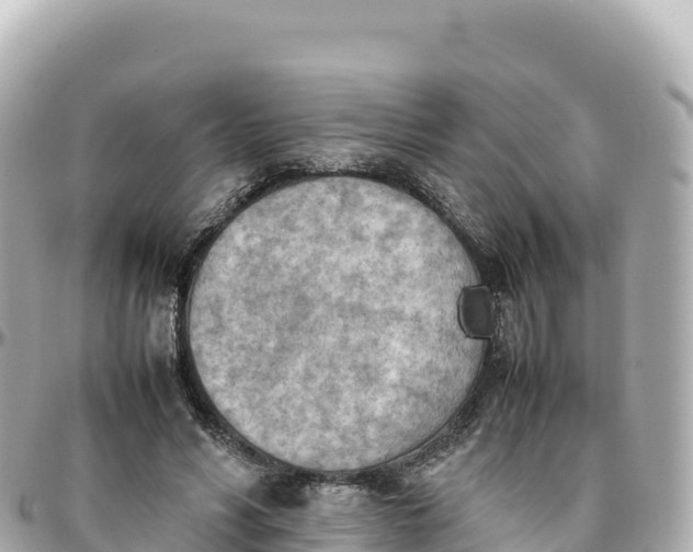 X0000095890590200801251204