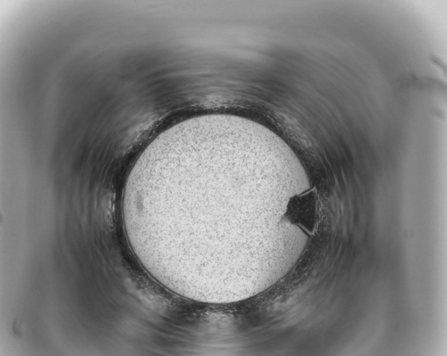 X0000095890592200801251204