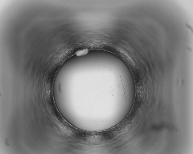 X0000095890593200801251204