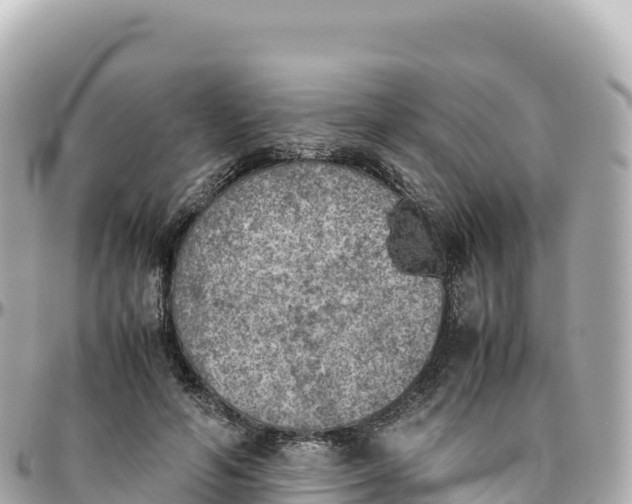 X0000095890594200801251204