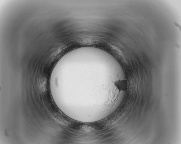 X0000095890596200801251204