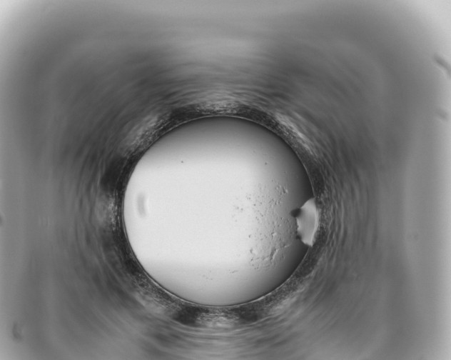 X0000095890597200801251204