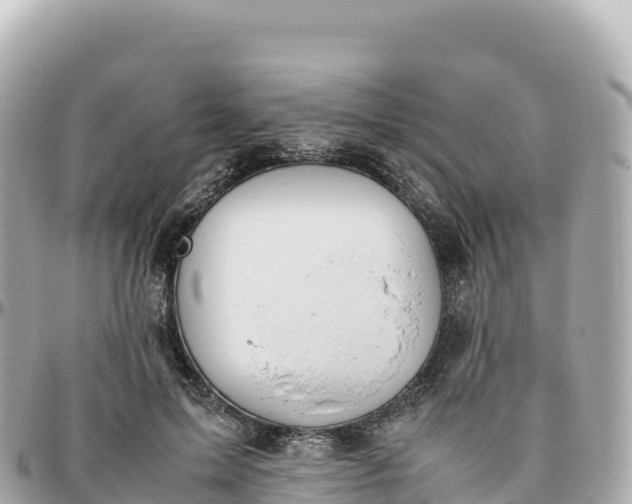 X0000095890599200801251204